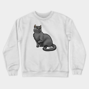 Cat - European Shorthair - Black Crewneck Sweatshirt